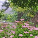 지리산해뜨네