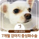 아이파크 동물병원 이미지