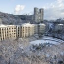 경희 파이낸셜뉴스