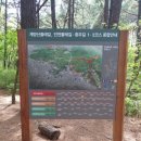 목상동 솔밭길 이미지