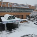 주정차-31 이미지