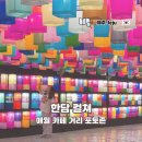 제주 비오는날 애월 카페 거리 실내 한담 컬쳐 포토존 후기