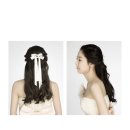 알레스 이미지