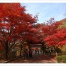 동두천시소요산관광지원센터 Daum카페