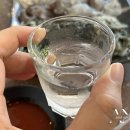 천안신방중학교 | 천안 오징어회 '산오징어클럽' 오픈런 해야하는 신방동 맛집