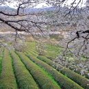 섬진강자전거길7 이미지