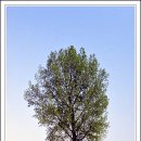 영민목장 이미지