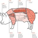 찢은고기 이미지