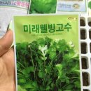 고수 이미지