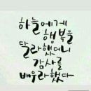 보령의료기 이미지