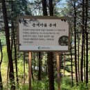 신씨네마을 이미지