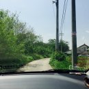 도그베이 이미지