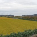 창제보건진료소 이미지