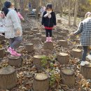 지리산유아숲체험원 네이버블로그