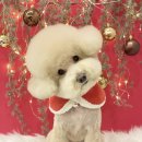 밍그루밍 이미지