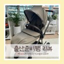 [에그/EGG] 에그2 브론즈에디션 밍크컬러 리뷰...비교부터 최저가 구매팁까지!✨🩷 (링크맘추천인 Sian25...