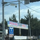 후포 | 경북 울진 여행 가볼만한곳 | 울진 후포항 후포해변 따라 산책한 후기