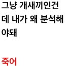 에우앙겔리온