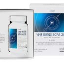 플러스엑스팜 - 강남구 논현로28길 33 | 플러스엑스팜