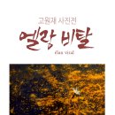 엘랑