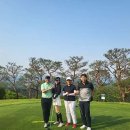 대홍실내골프클럽 이미지