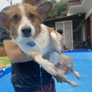 십일월오일 이미지