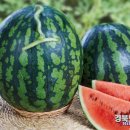 달디단 이미지