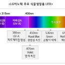 라인업글로벌 이미지