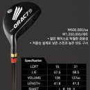 SG골프클럽 이미지