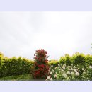 곡성-074 티스토리