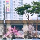 호두나무한의원 이미지