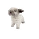 스몰펫하우스 이미지