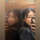 유럽디 이미지