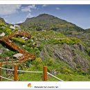 다랭이팜영농조합법인 이미지