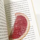 옥토 이미지