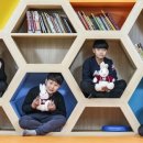 영웅호걸 태권도 중앙일보