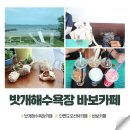 밧개오션 이미지