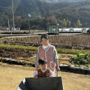 문경여객 노동조합 | 문경 김장 후기 (130포기) 배추 뽑기부터 양념까지 1박2일 리얼 과정