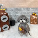 영광 해피댕스 애견샵 이미지