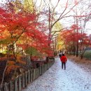 보석사 이미지