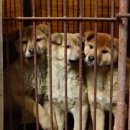 인한농장 이미지