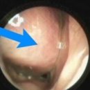 덕산한의원 이미지