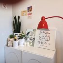 메리슈가 이미지