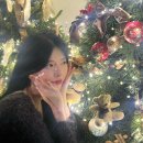 빔더랜드(Vimderland)