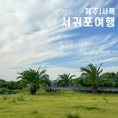 UDA 제주 서귀포 | 엄마와 함께한 서귀포 나들이, 한스옥, <b>UDA</b>, 다미안