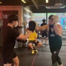 미스터복싱짐 이미지