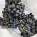 비아한의원 이미지