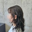 포코헤어 이미지