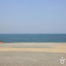 몽돌 - 제주시 | 몽돌