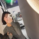 엠디디피티 이미지